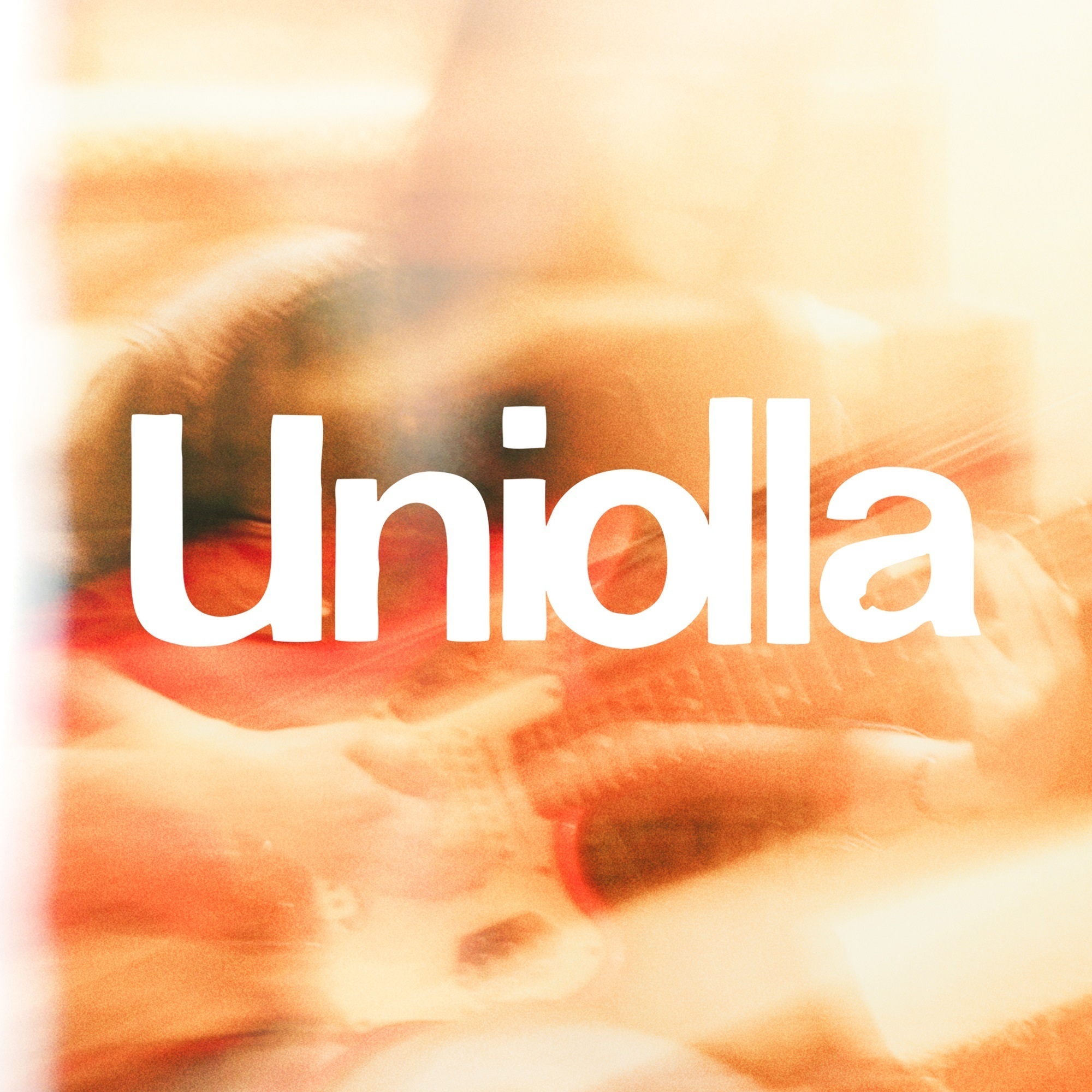 Uniolla】11月24日 1st Album「Uniolla」リリース！ | LOVE